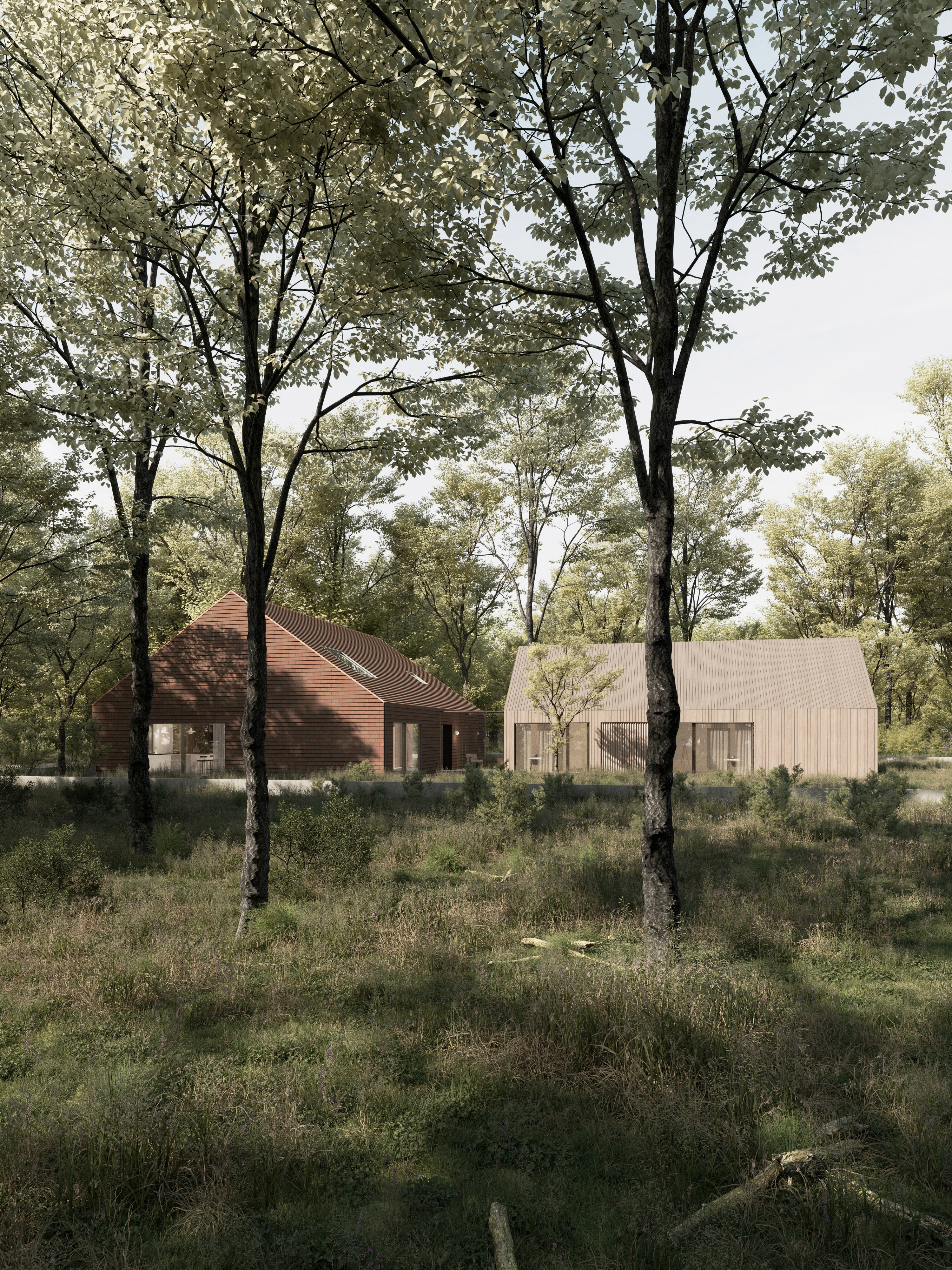 Dom w Cekanowie — 04